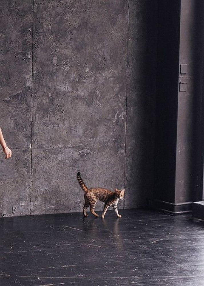 Индивидуалка Аделина фото № 2 в городе Москва