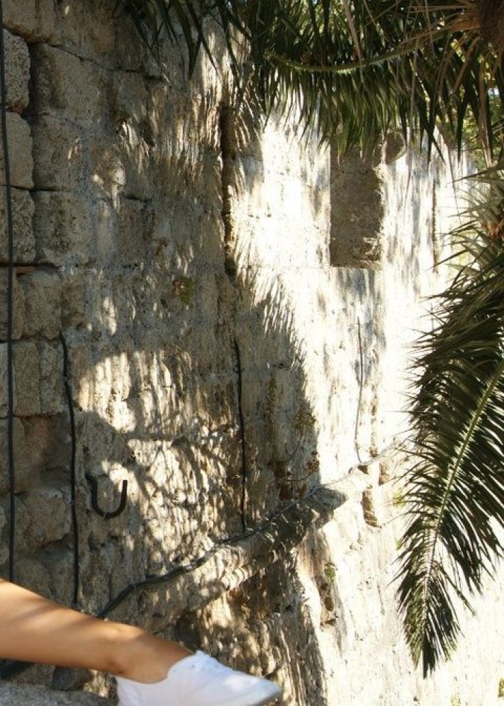 Индивидуалка АЛИСА фото № 2 в городе Москва