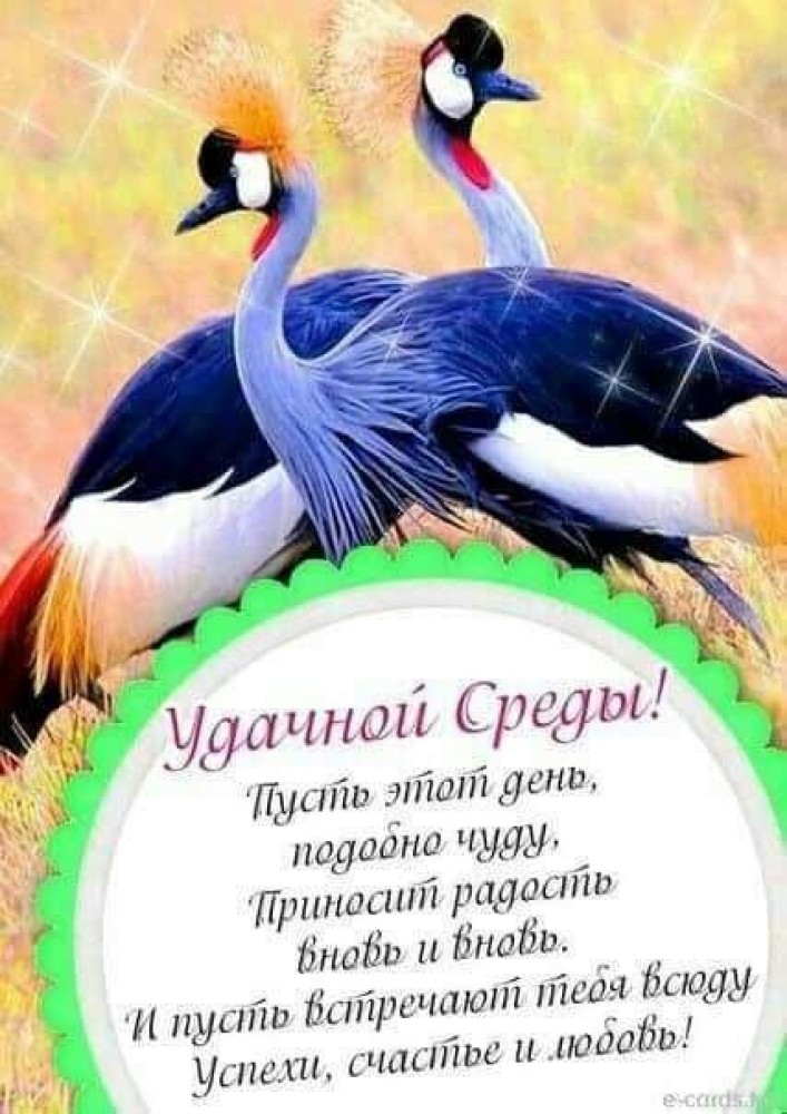 Индивидуалка Карина главное фото в городе Москва 