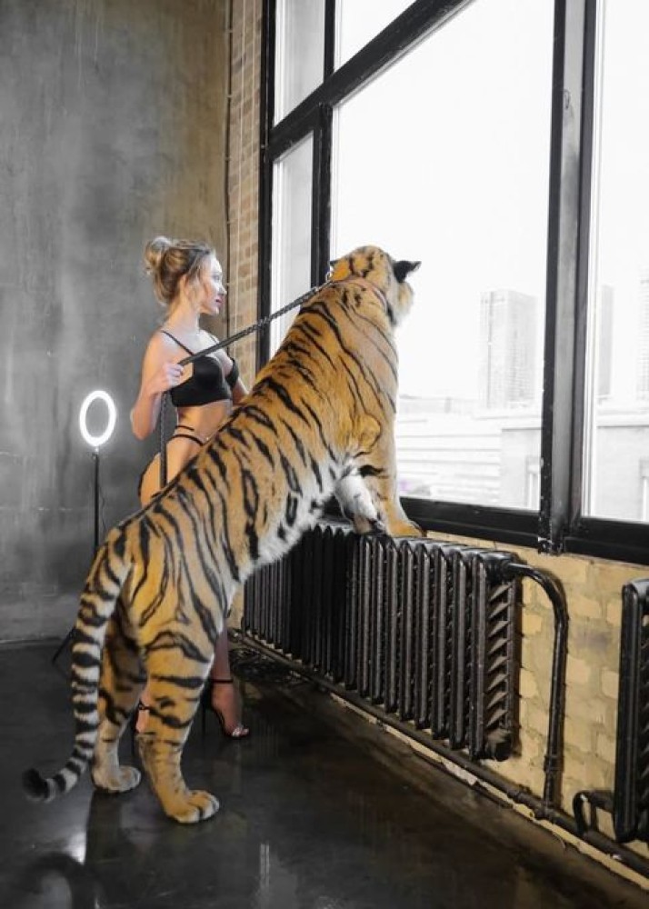 Индивидуалка Линда фото № 2 в городе Москва