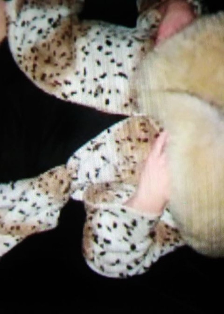 Индивидуалка Мария фото № 2 в городе Москва