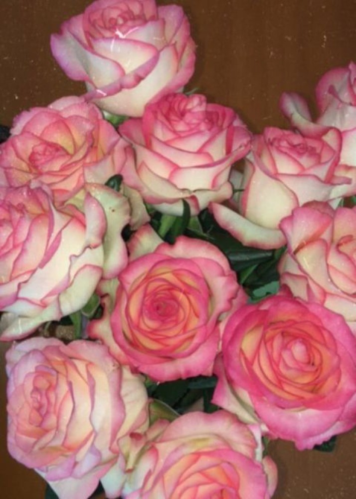 Индивидуалка Nikoletta главное фото в городе Москва 