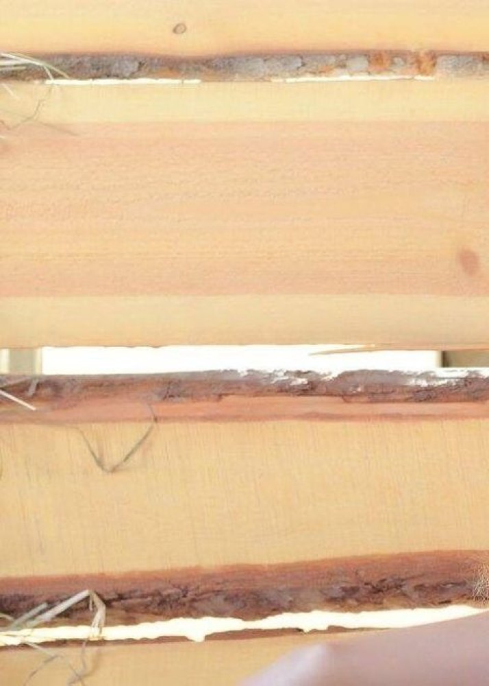 Индивидуалка Рита фото № 2 в городе Москва