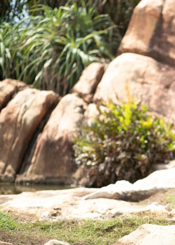 Индивидуалка Сандра фото № 2 в городе Москва