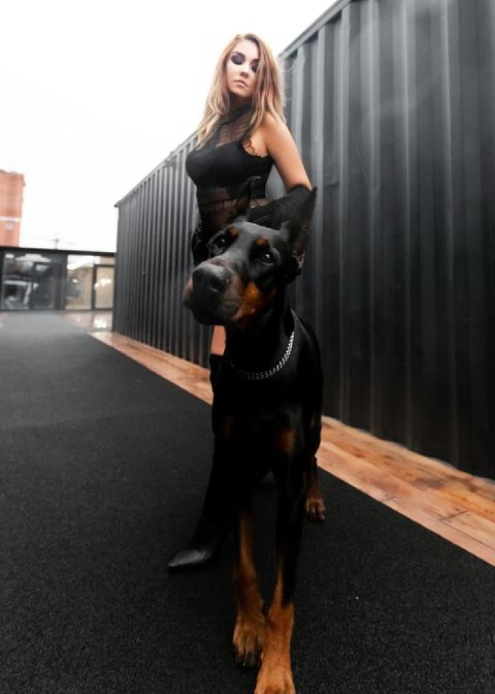 Индивидуалка Стелла фото № 2 в городе Москва