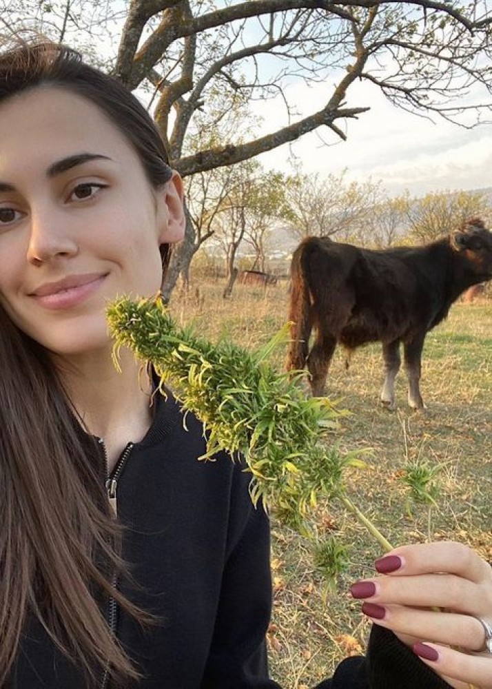 Индивидуалка Жасмин фото № 2 в городе Москва